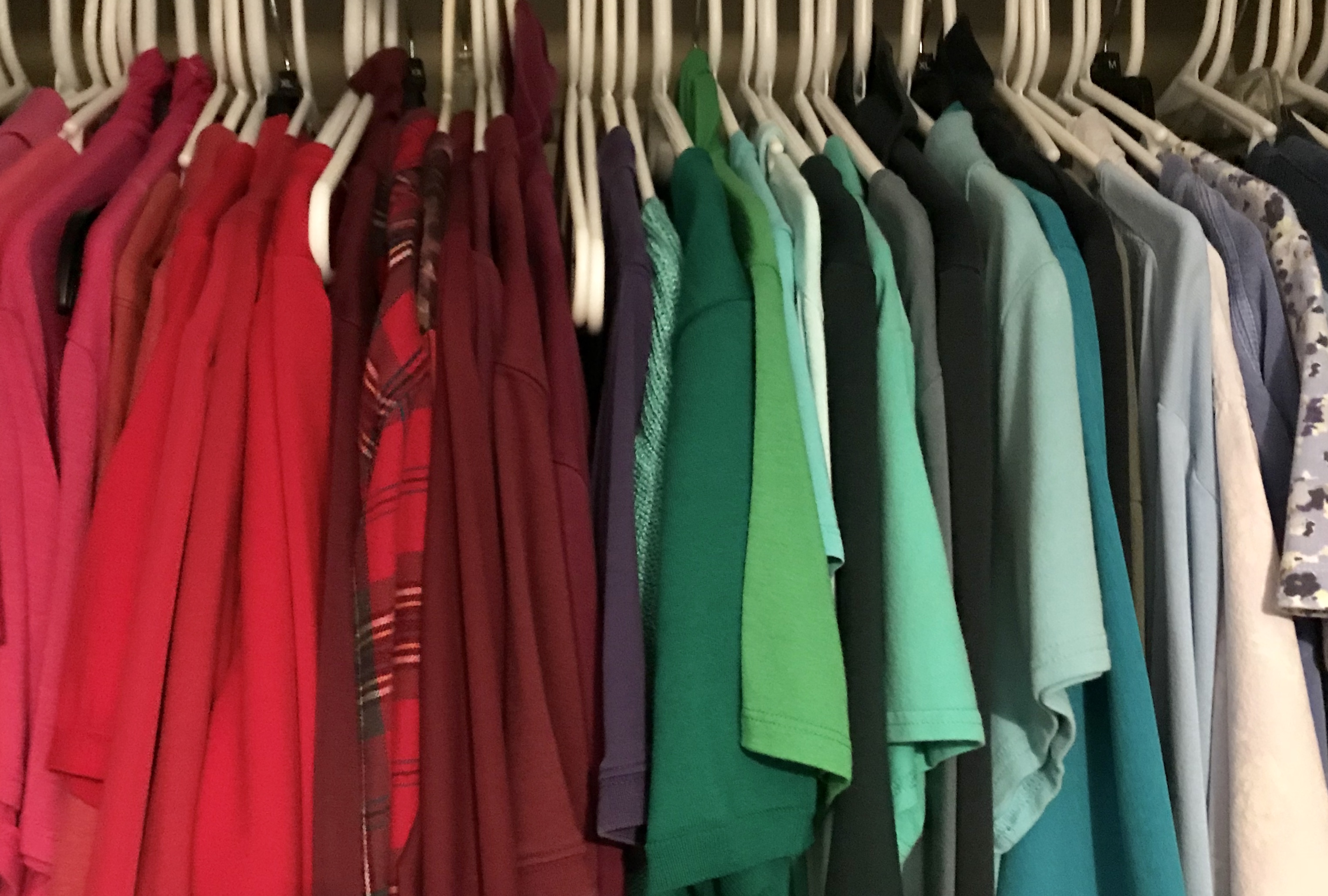 closet with tops arranged by color